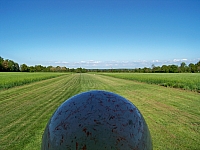 100_0190.jpg