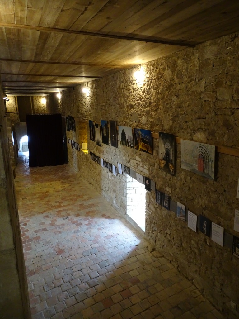 DSC02889.jpg