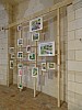 DSC02877.jpg