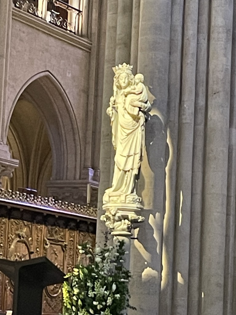 IMG_5926.jpg
