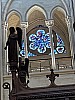 IMG_5928.jpg